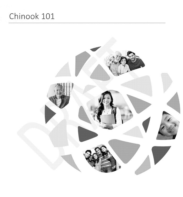 IRCC Chinook 101 Manual AI Decision Making
